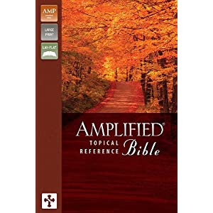 download amplified bible for pc